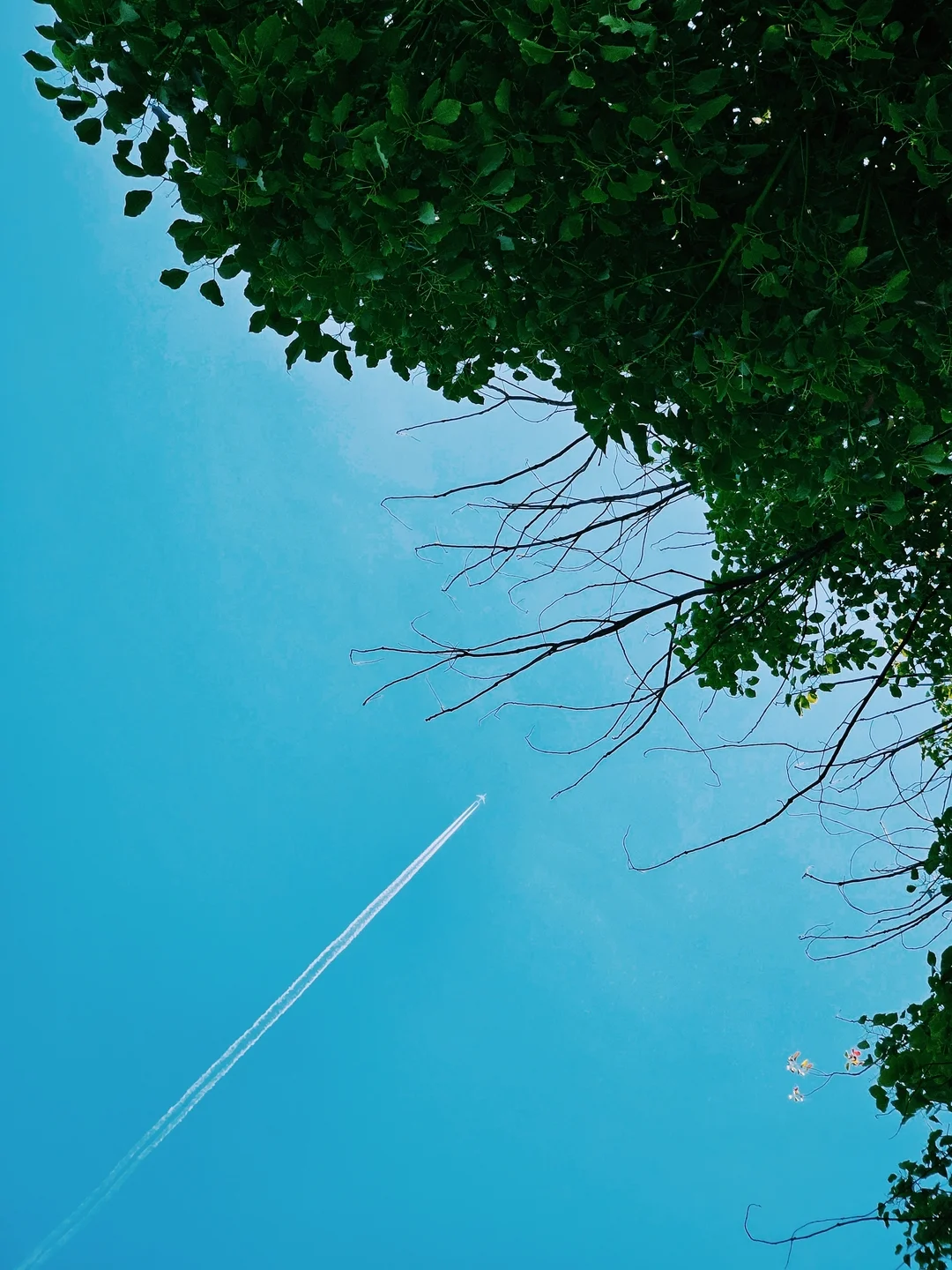 Sky Above Wuhan University